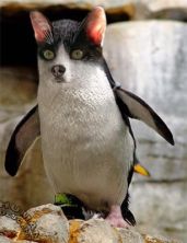 bichos03.jpg